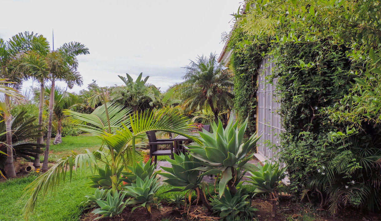 villa_23_01_Chalet_Atalaya_JLLExterior_5